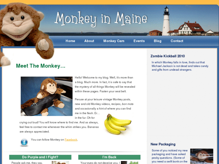 www.monkeyinmaine.com