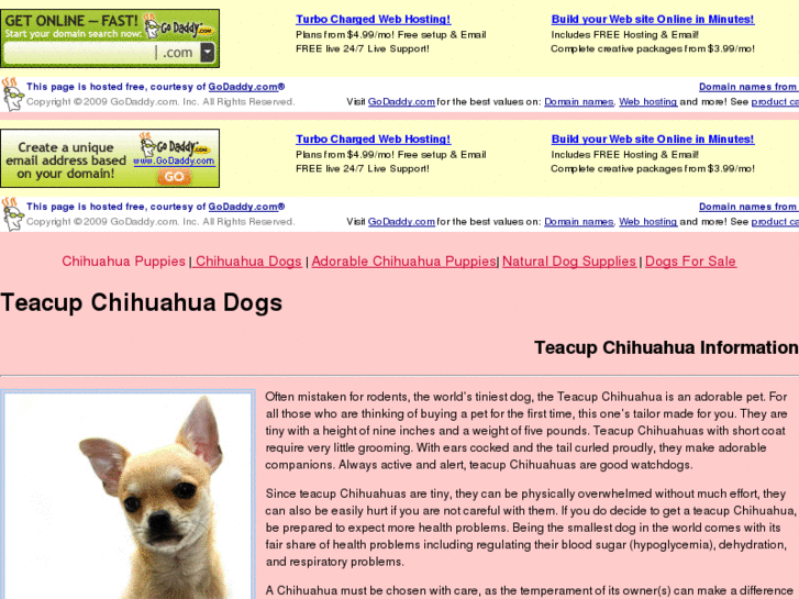 www.teacupchihuahuadogs.com