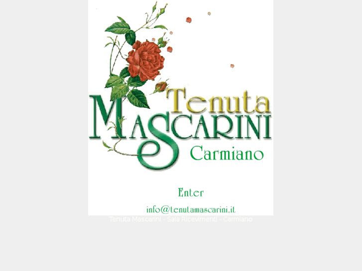 www.tenutamascarini.it