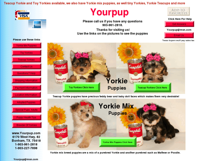 www.yorkiepro.com