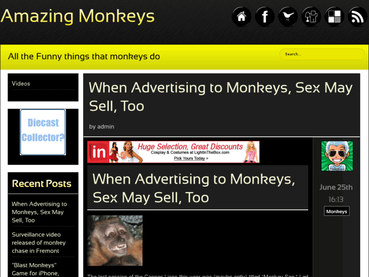 www.amazingmonkeys.com