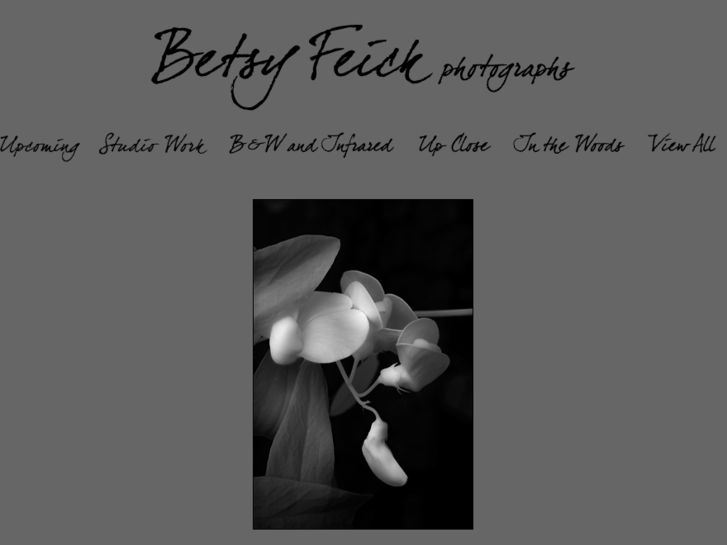 www.betsyfeick.com