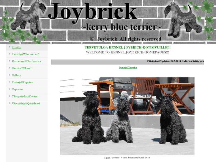 www.joybrick.com