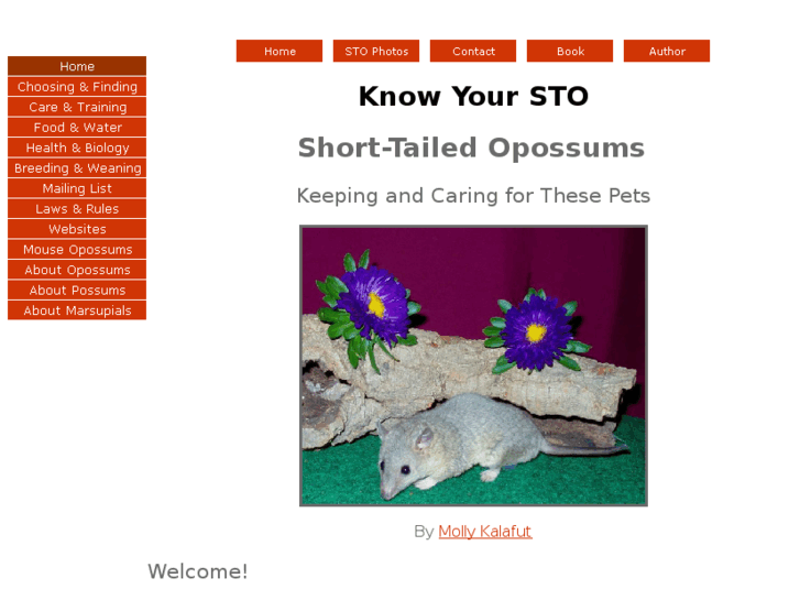 www.knowyoursto.com