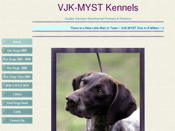 www.mystkennels.com