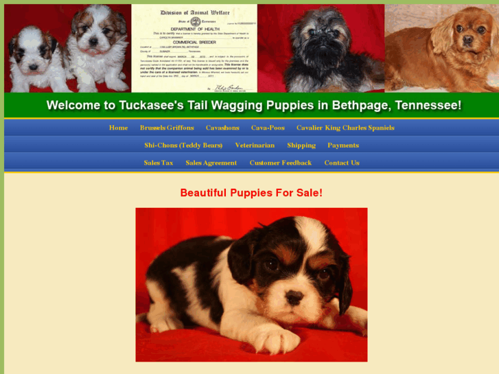 www.tailwaggingpuppies.com