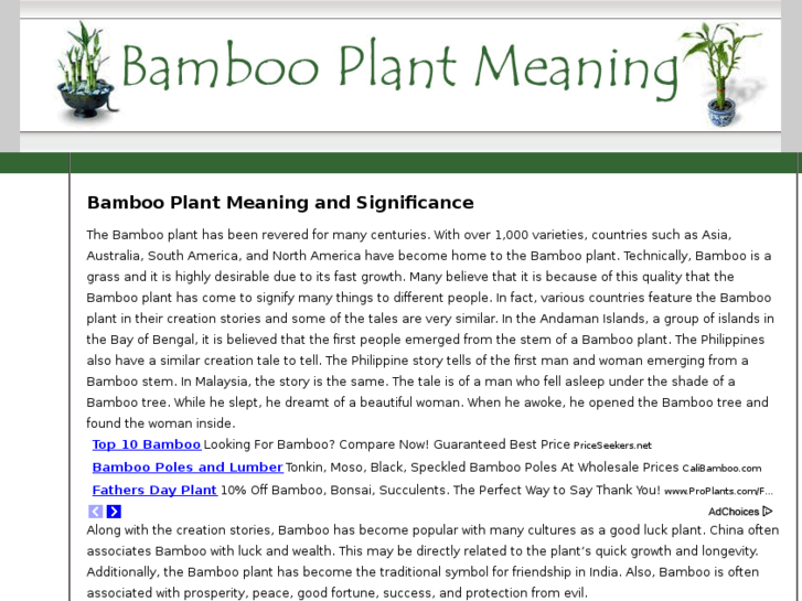 www.bambooplantmeaning.com