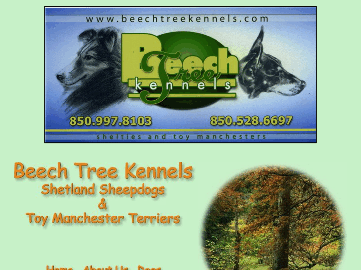 www.beechtreekennels.com