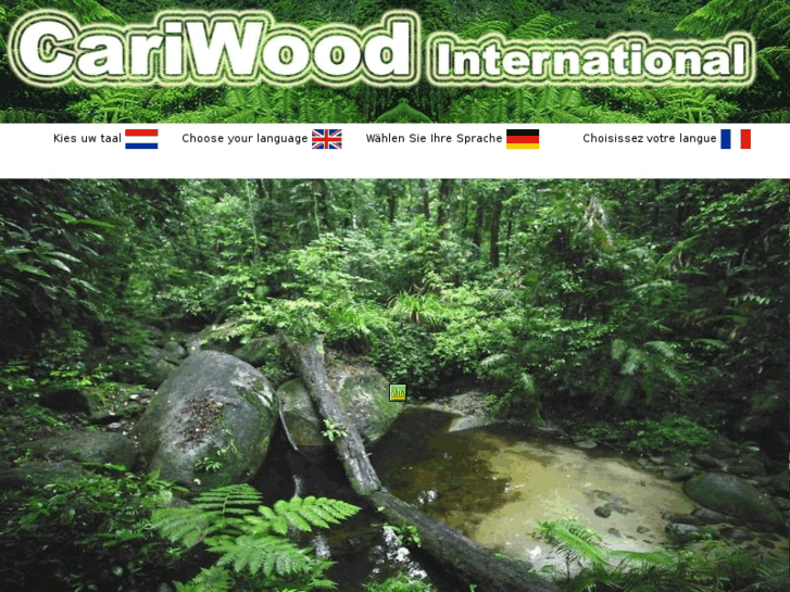 www.cariwood.com