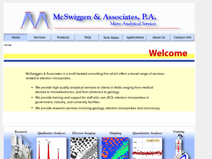 www.mcswiggenassoc.com