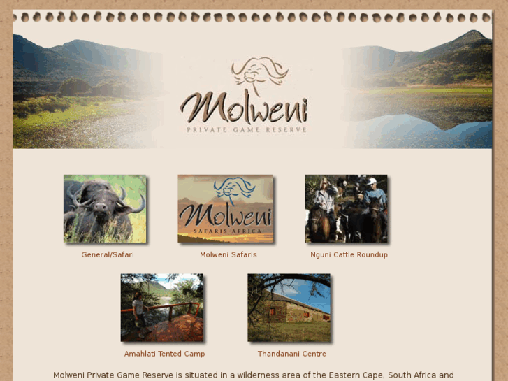 www.molweni.com