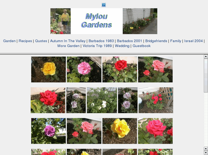 www.mylougardens.com