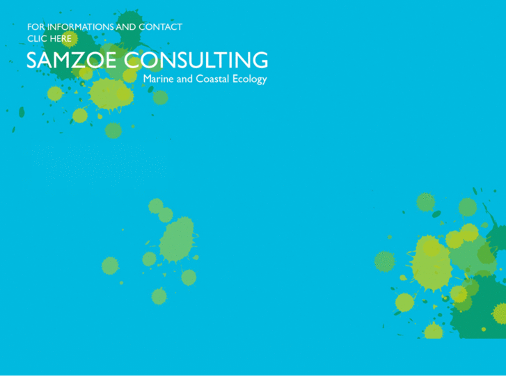 www.samzoeconsulting.com