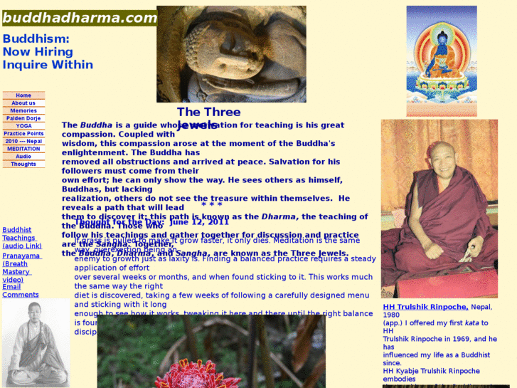 www.buddhadharma.com