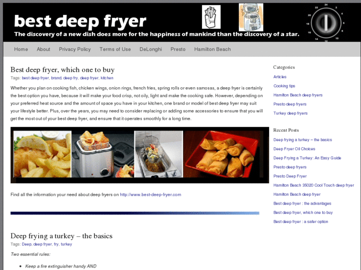 www.best-deep-fryer.com