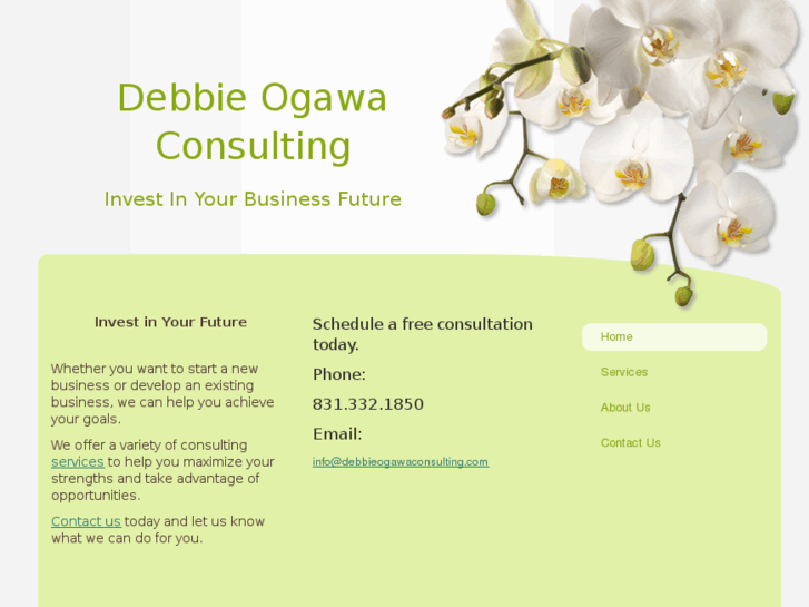 www.debbieogawaconsulting.com