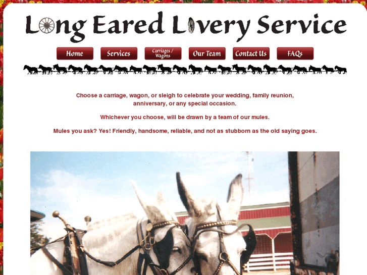 www.longearedliveryservice.com