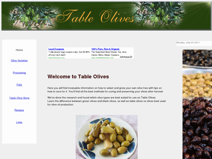 www.tableolives.info