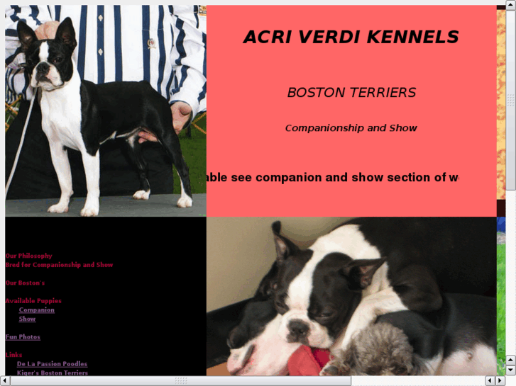 www.acriverdikennels.com