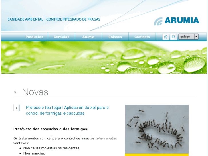 www.arumia.com