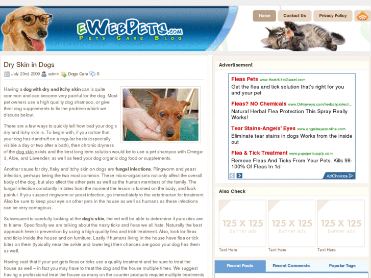 www.ewebpets.com