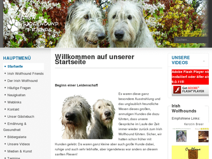 www.irischerwolfshund.com