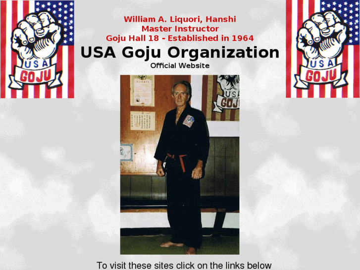 www.orlandogojukarate.com