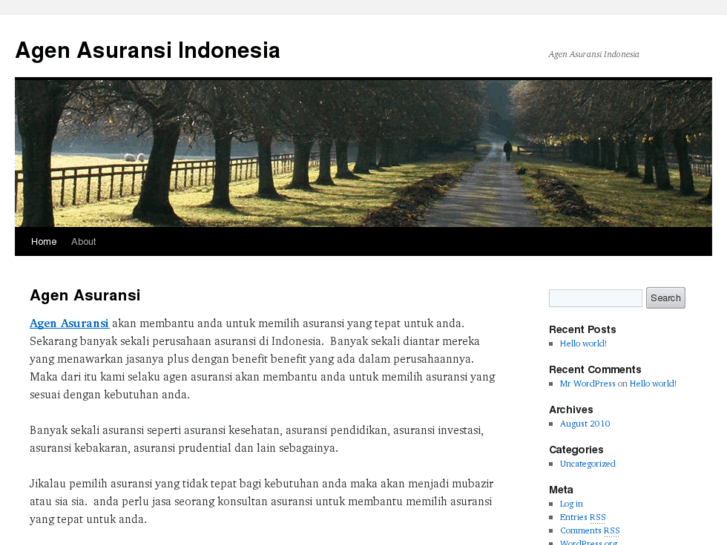 www.agenasuransiindonesia.com