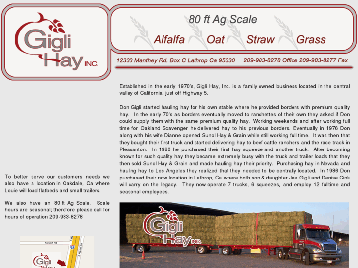 www.giglihay.com