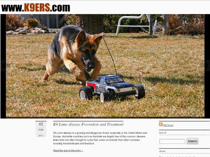 www.automaticdogexerciser.com