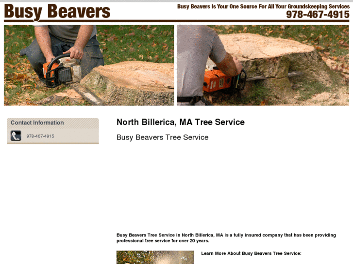 www.busybeaverstreeservice.net