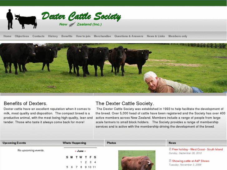 www.dexter-cattle.co.nz