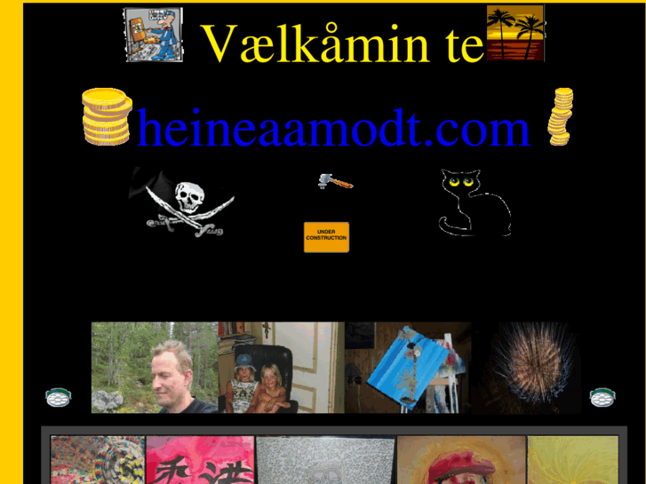 www.heineaamodt.com