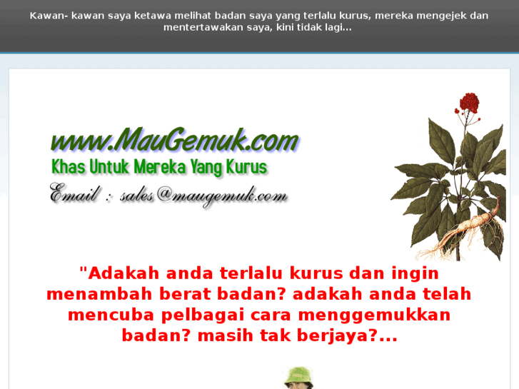 www.maugemuk.com