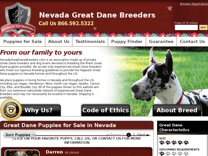 www.nevadagreatdanebreeders.com