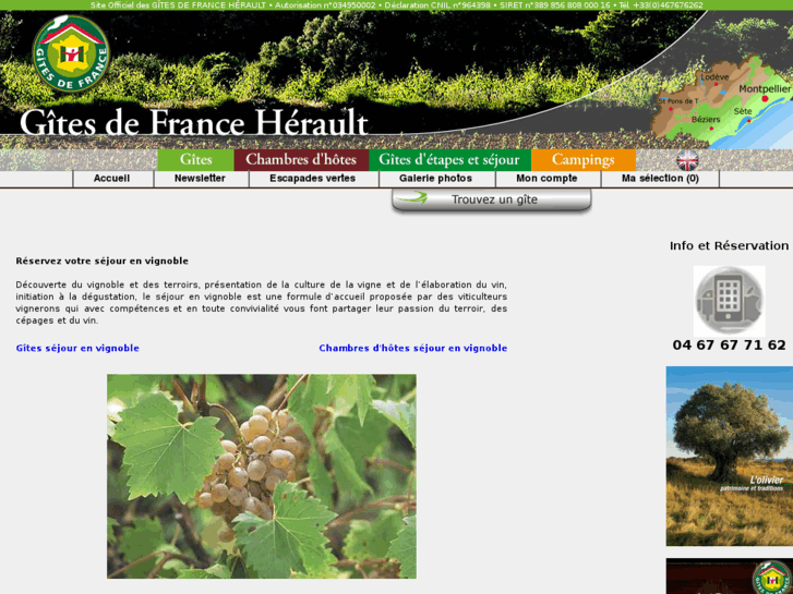 www.sejour-en-vignobles.com