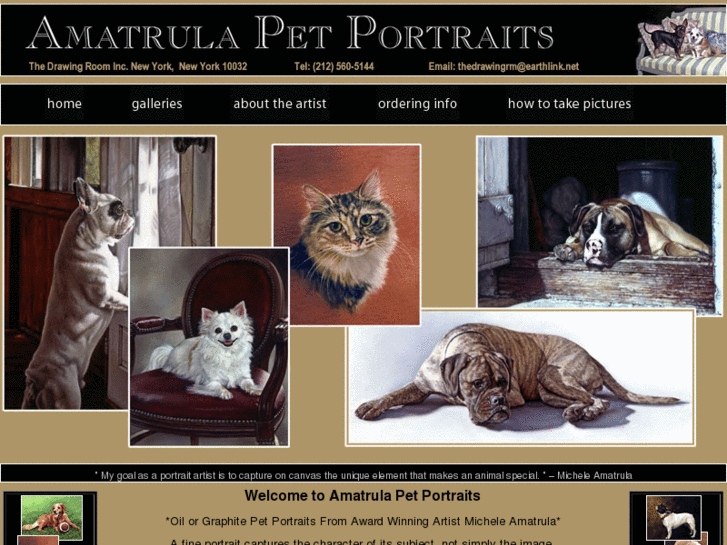 www.amatrulapetportraits.com