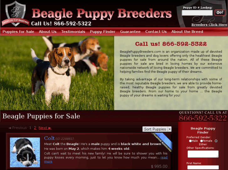 www.beaglepuppybreeders.com