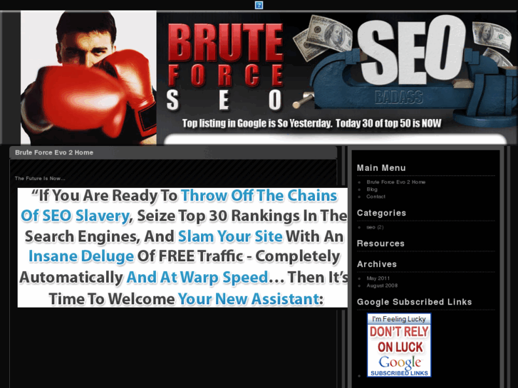 www.bruteforceseo.biz