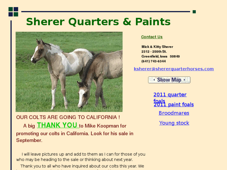 www.shererquarterhorses.com