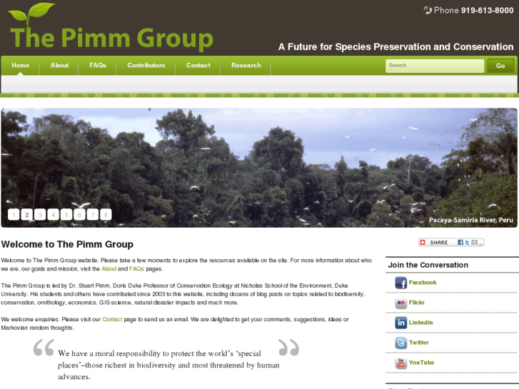 www.thepimmgroup.com