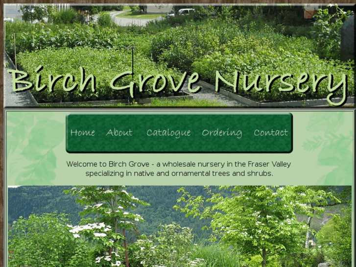 www.birchgrovenursery.com