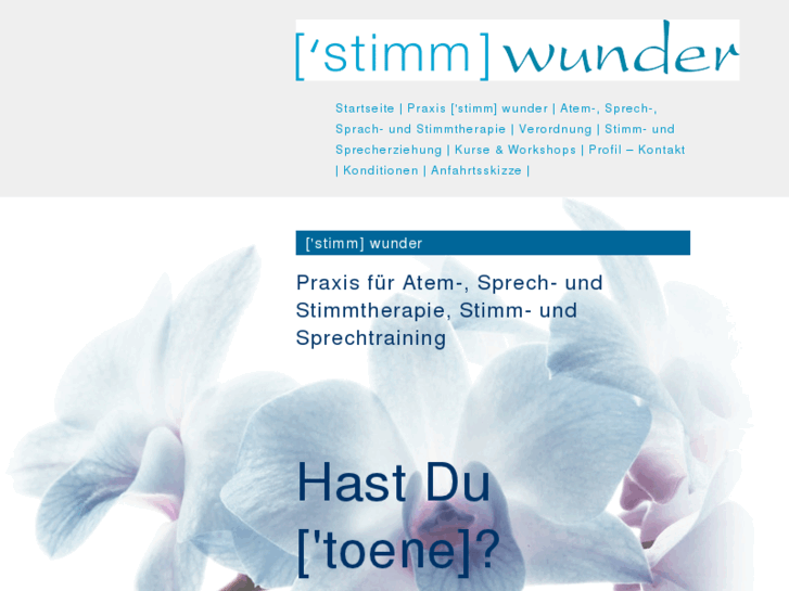 www.stimmwunder.info