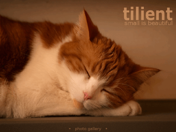 www.tilient.net