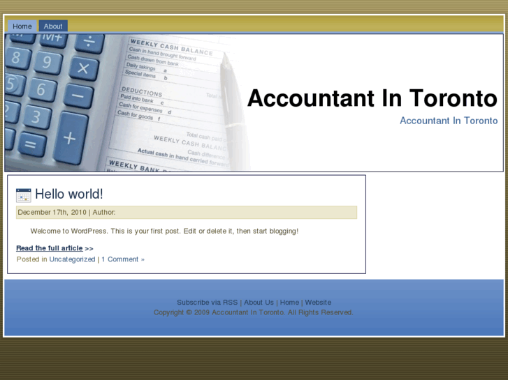 www.accountant-in-toronto.com
