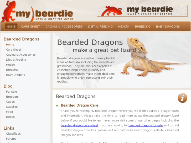 www.bearded-dragons.net