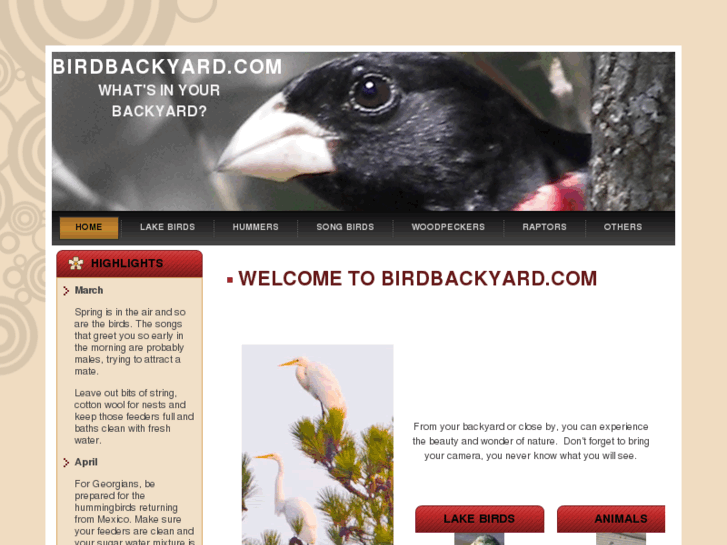 www.birdbackyard.com