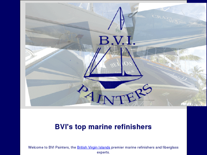 www.bvipainters.com