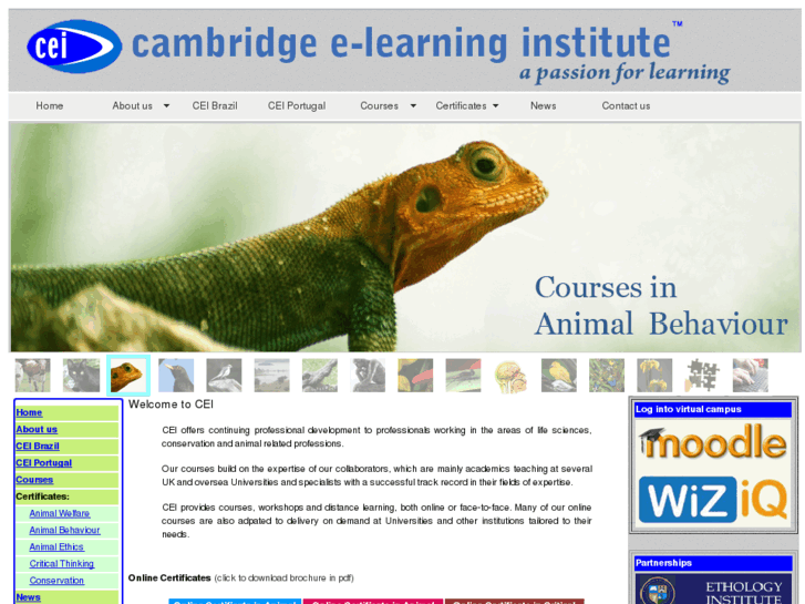 www.cambridge-elearning.com