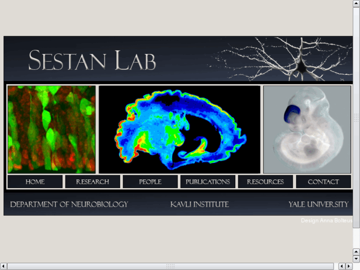 www.frontalcortex.org